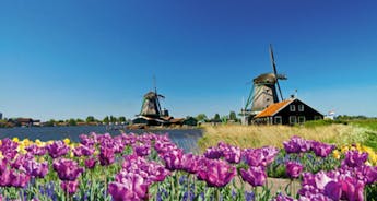 Tulips & Windmills (2025) (Antwerp to Amsterdam, 2025)