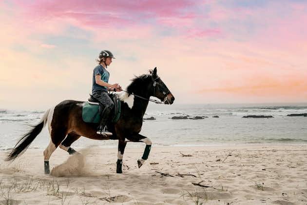 Excursion à cheval au Portugal sur la plage