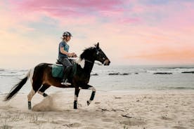 Portugal Horseback Riding Tour On The Beach