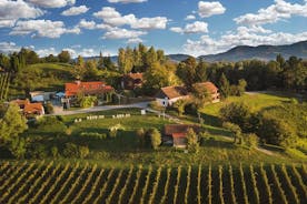Zagreb - Vuglec Breg (vingård)
