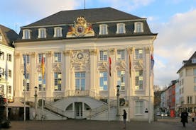 Bonn Private Walking Tour With A Professional Guide