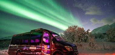 Tromsø: Small Group Northern Lights Hunt