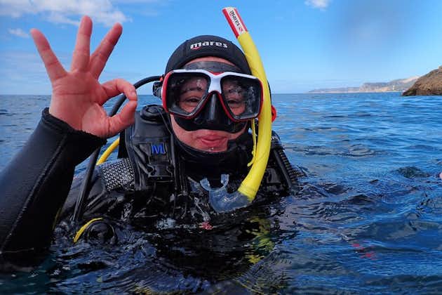 在阿拉比达自然公园（里斯本附近）尝试水肺潜水并带图片