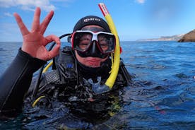 在阿拉比达自然公园（里斯本附近）尝试水肺潜水并带图片