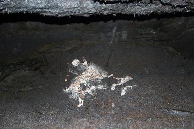 Espeleología Túnel de Lava con Traslado | Grupo pequeño