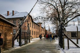 Krakow: Auschwitz-Birkenau Tour with private transport