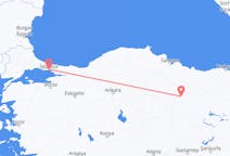 Flyrejser fra Sivas, Tyrkiet til Istanbul, Tyrkiet