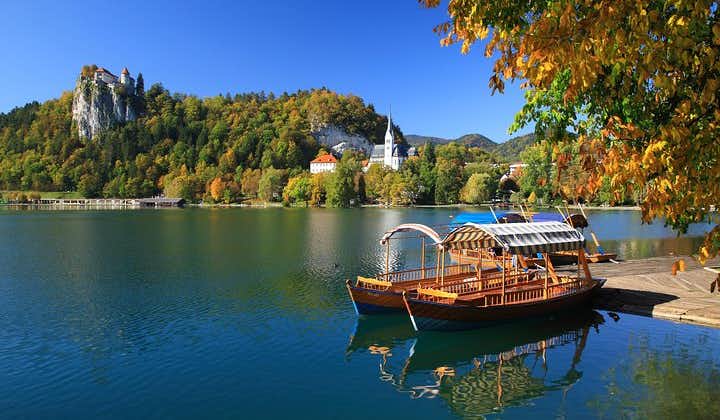 Lake Bled and Traditional Lunch in Radovljica from Ljubljana