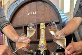 Champagnedagstur från Reims inklusive 6 champagneprovningar