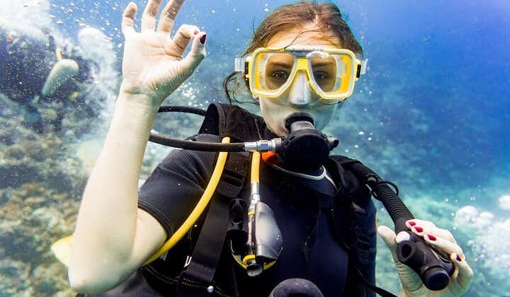 Diving in amazing Underwater Museum in Side