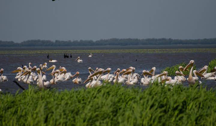 Giro ecologico del fiume di Odessa nel parco naturale