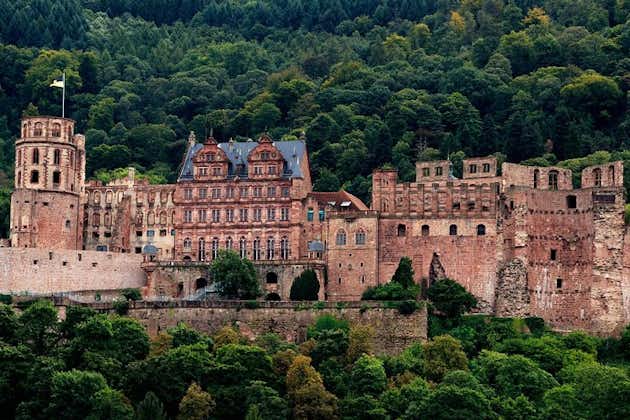 Heidelberg offentlig vandretur med en profesjonell guide