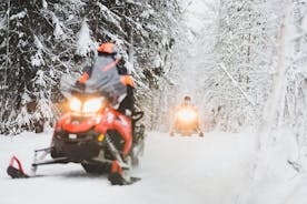 Snowmobile Safari to the Wilderness with Lunch