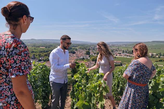 From Reims: Full day Champagne Mumm, family growers & lunch