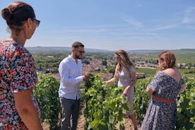 From Reims: Full day Champagne Mumm, family growers & lunch