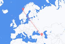 Flyrejser fra Jerevan, Armenien til Brønnøysund, Norge