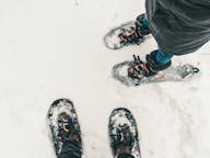 Snowshoeing tours in Sweden