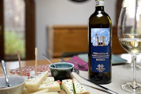 San Gimignano: Rundtur i vingårdarna och källaren med vinprovning