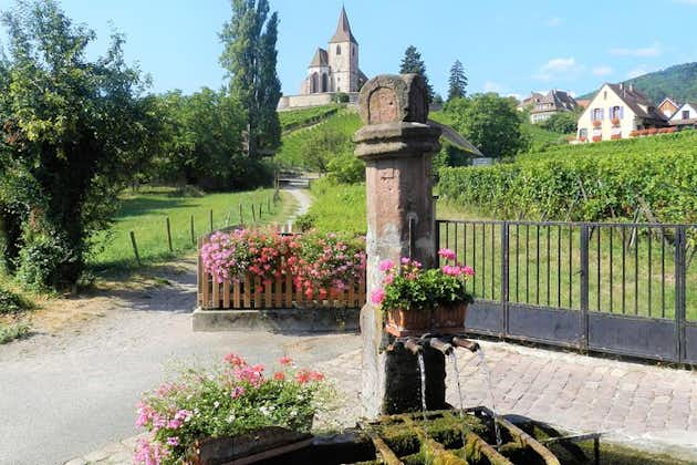 The Emblemmatics: besök av byar, Haut-Koenigsbourg, vinprovning
