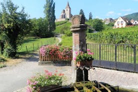 De emblemen: bezoek aan dorpen, Haut-Koenigsbourg, wijnproeverij