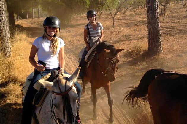 Passeggiate a cavallo nel Parque Natural Doñana, Siviglia