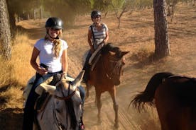 Équitation à Parque Natural Doñana, Séville