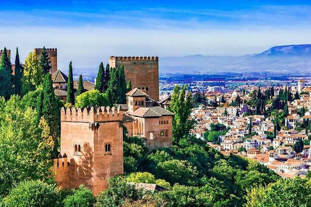 Alhambra e Generalife: Tour Privato con Guida a Granada