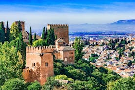 Nasrid Palaces를 포함한 Alhambra 건너 뛰기 개인 투어