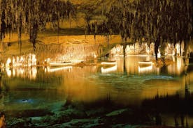 Caves Drach Boat Trip from Alcudia with Return Bus and Tickets 