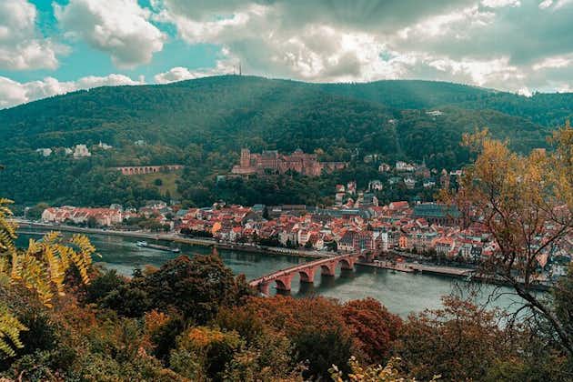 Heidelberg Schloss und Stadt Private Tagestour ab Frankfurt