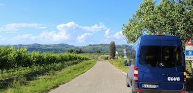 Tuscan Wine Tour in Lucca by shuttle
