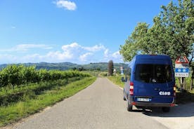 Tuscan Wine Tour in Lucca by shuttle