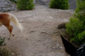 Parco della Murgia: Escursione a cavallo