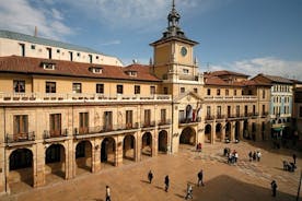 Tour culturale privato di Oviedo con ritiro