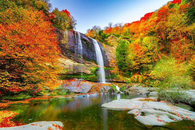 Photo of colorful leaves of autumn. Suuctu waterfalls, Bursa.