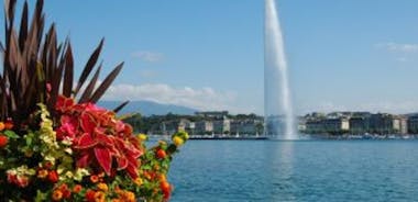 Visite de la ville de Genève et croisière en bateau