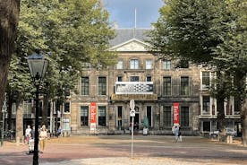 Visita guiada privada a pie de Royal The Hague