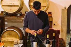 피렌체에서의자가 운전 빈티지 피아트 500 투어 : Tuscan Wine Experience
