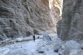 Samaria Gorge Hike from Heraklion region