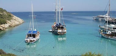 Bodrum Private Gulet Tour with Lunch