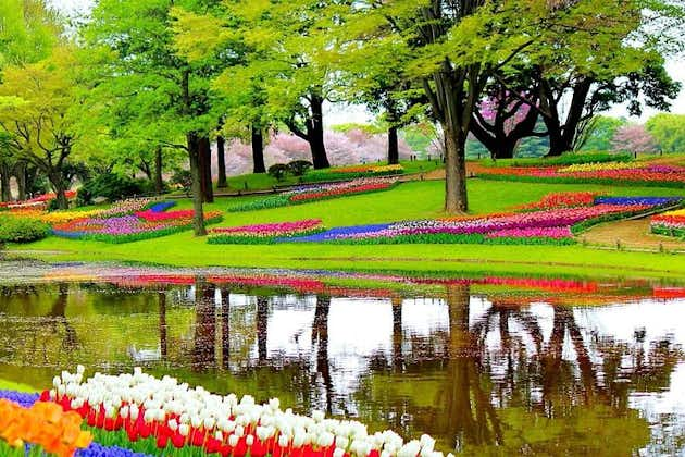 Dagstur til Tulip Gardens of Keukenhof fra Amsterdam: Privat og personlig