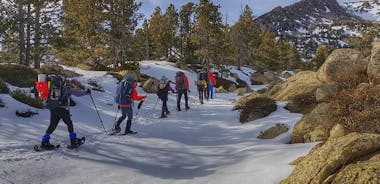 Snowshoeing & Snow Shelter Building Pyrenees