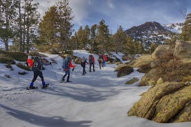 Snowshoeing & Snow Shelter Building Pyrenees