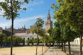 Sevilla Høydepunkter Privat vandretur