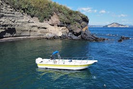 2-stündige geführte Tour über die Insel mit dem Boot von Procida