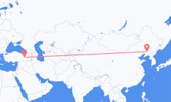 Flyg från Shenyang, Kina till Bingöl, Turkiet