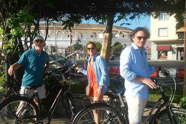 Tour in bici monumentale di Siviglia con una guida locale