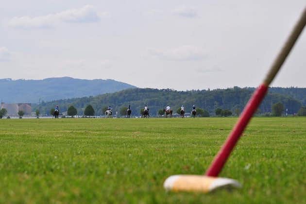Learn to play Polo - one hour introduction to Polo