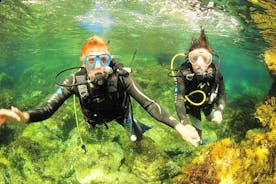 Sukelluskaste ja snorklaus Ibizalla