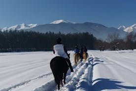 Horse riding experience from Bansko